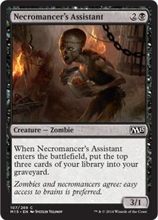 Necromancer&#8217;s assistant